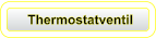 Thermostatventil