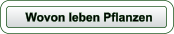 Wovon leben Pflanzen
